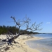 beach_jar_v_0737_cub2903.jpg